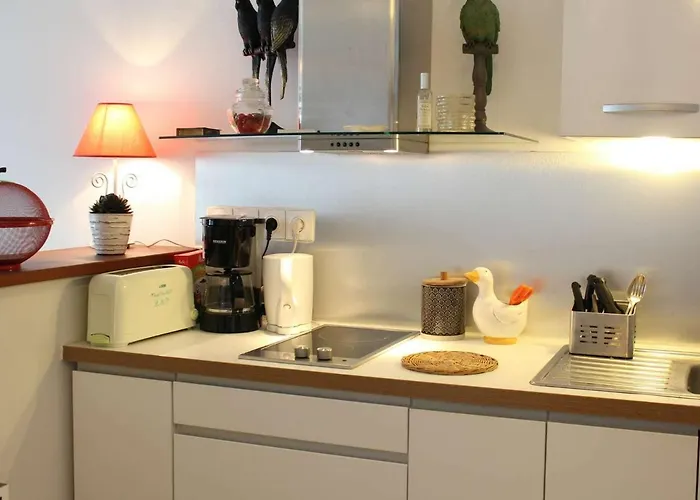 Moderne 4 Pers Au Centre De Avec Terrasse Et Garage, Proche Et Commerces - Fr-1-245-162